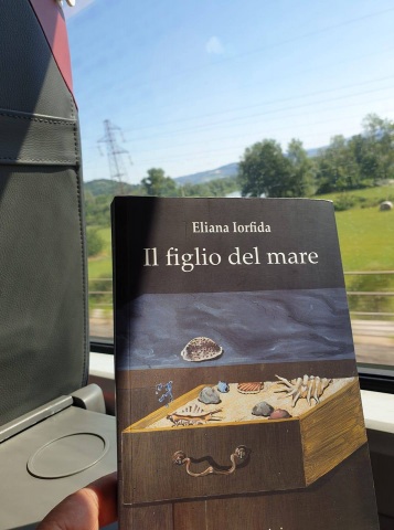 Enzo (in treno da Roma a Palmi, Giugno 2020).